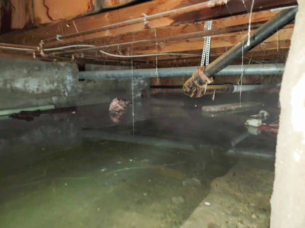 Best Ceiling water damage repair  in Jennerstown, PA