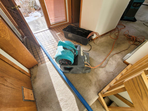 Best Flood restoration services  in Jennerstown, PA