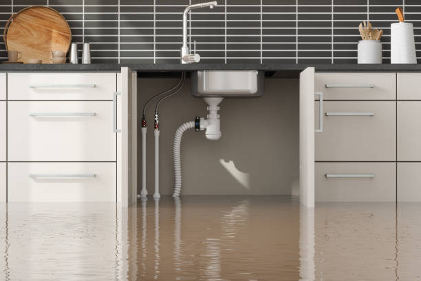 Best Flood damage cleanup  in Jennerstown, PA